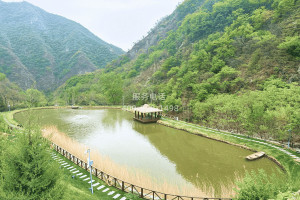 菊花平台孙先生对九公山陵园的评价图片