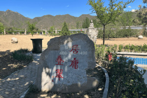 菊花平台郑先生对凤凰山陵园的评价图片