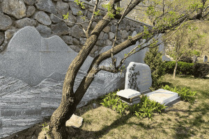 菊花平台钱先生对九公山陵园的评价图片