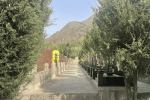 菊花平台王先生对景仰园陵园的评价图片