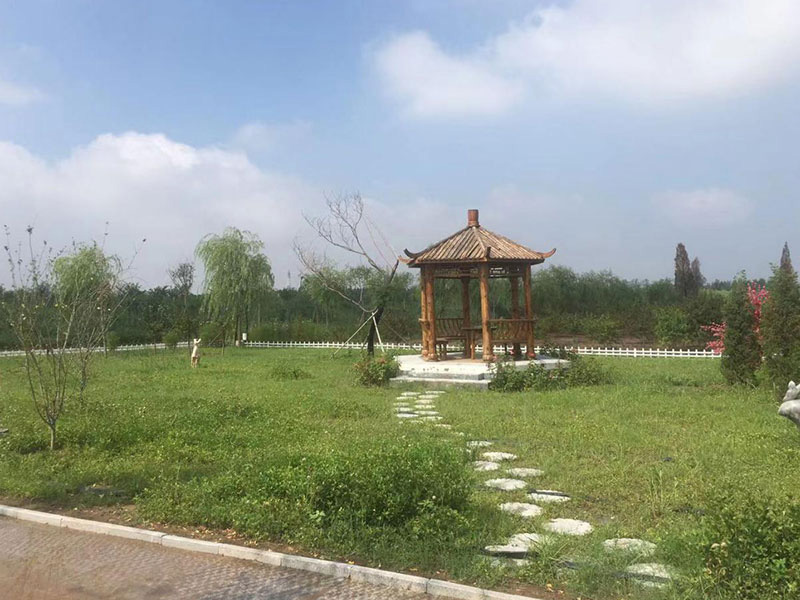 清颐园公墓 清颐园公墓