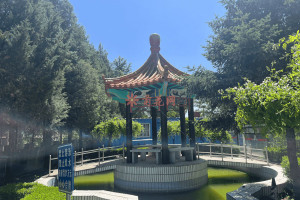 菊花平台王先生对归山陵园的评价图片