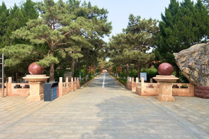 菊花平台赵女士对朝阳陵园的评价图片