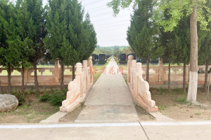 菊花平台赵女士对朝阳陵园的评价图片