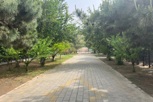 菊花平台赵女士对朝阳陵园的评价图片