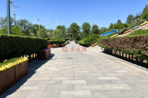 菊花平台陈先生对宝云岭墓园的评价图片