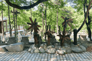 菊花平台林先生对金山陵园的评价图片