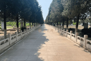 菊花平台刘先生对福田公墓的评价图片