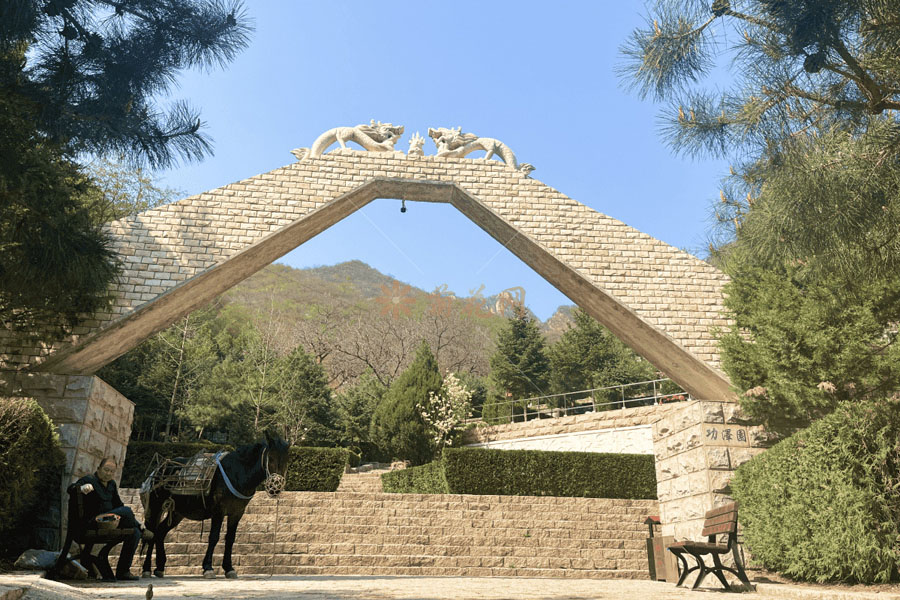 九公山长城纪念林