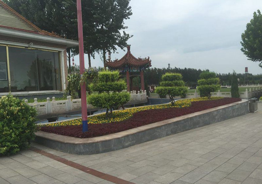 菊花平台张先生对万寿园公墓的评价图片