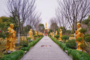菊花平台赵女士对永福园陵园的评价图片