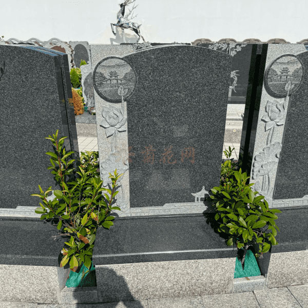 九天陵园传统立碑墓型13号