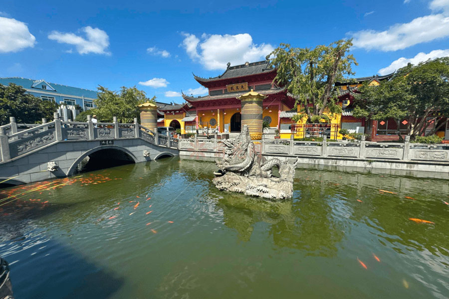 上海川沙寺园区锦鲤图