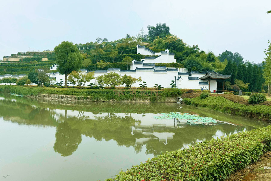杭州天竹园园区湖景图