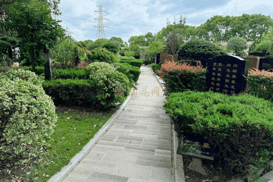 永安公墓环境图