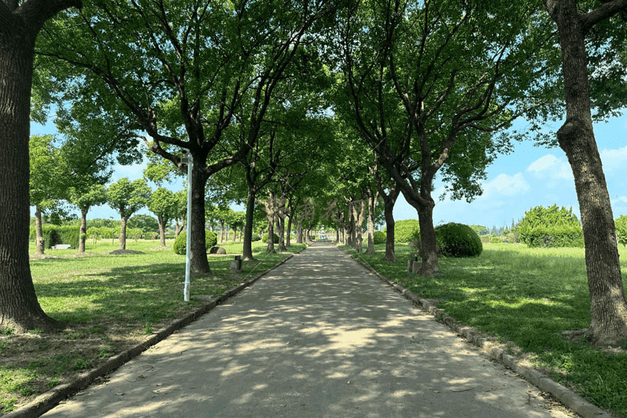 淀山湖归园环境 淀山湖归园环境