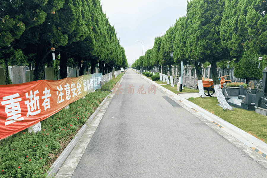 徐泾西园环境