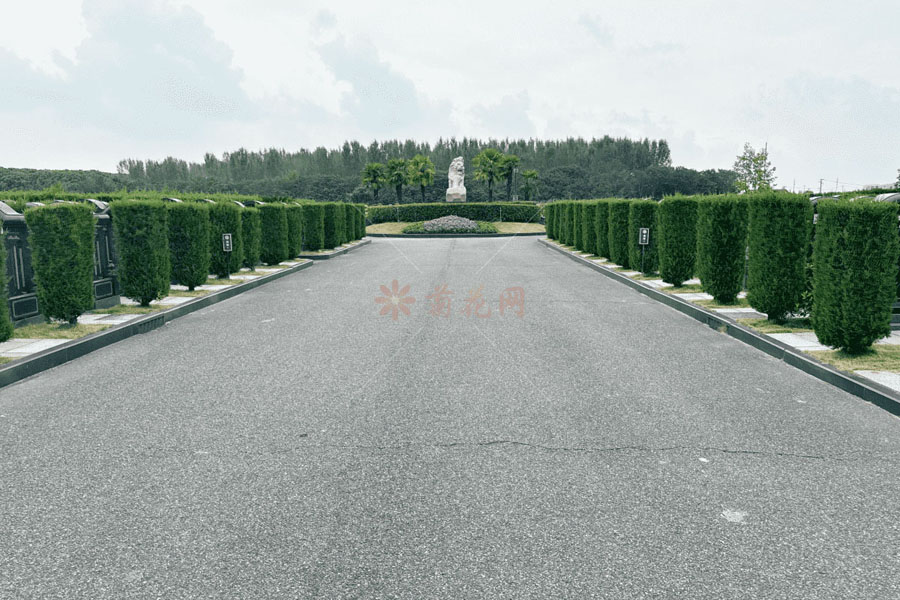 天马塔园环境图