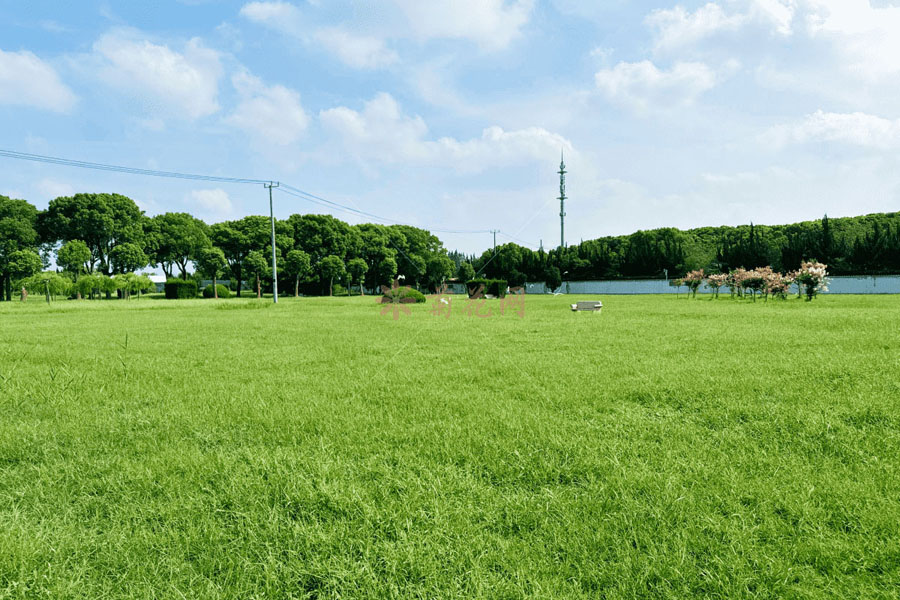 淀山湖归园视频封面