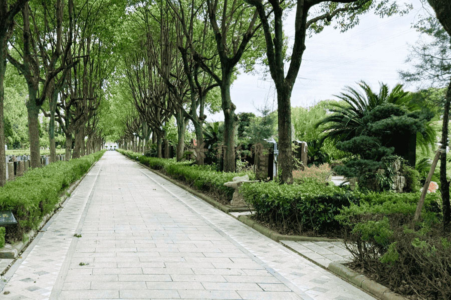 永安公墓视频封面