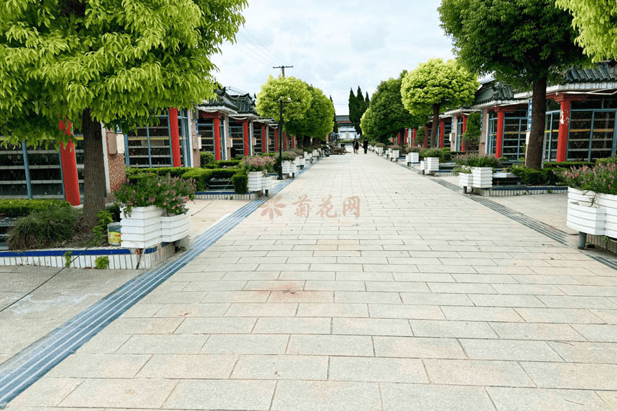 宝安暝园墓区图 宝安暝园墓区图