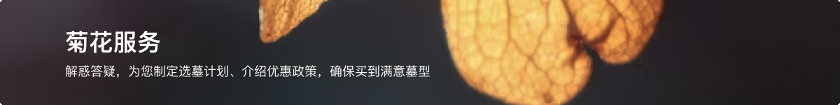 菊花平台顶部banner图