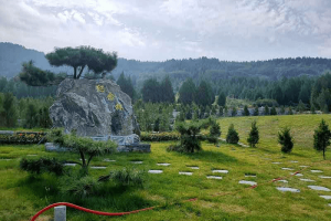 菊花平台林先生对双峰山陵园的评价图片