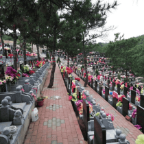 历城劳动人民安息园传统立碑
