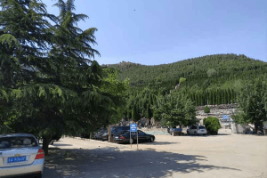 菊花平台周先生对玉函山安息园的评价图片