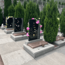 文山公墓传统立碑