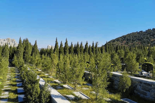 双峰山陵园景观图