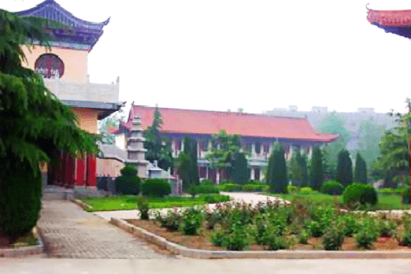 净土生态园景观图 净土生态园景观图
