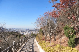 多子山生命文化公园景观图