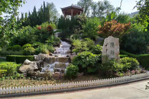 菊花平台沈先生对福寿园公墓的评价图片