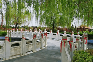 菊花平台杨先生对汉皇树葬墓园的评价图片