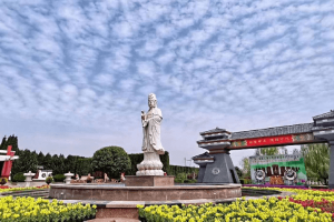 菊花平台杨先生对汉皇树葬墓园的评价图片