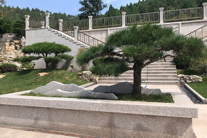 菊花平台沈先生对福寿园公墓的评价图片