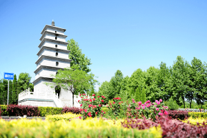 菊花平台秦先生对凤栖山人文纪念园的评价图片