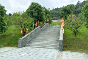 菊花平台对的评价图片