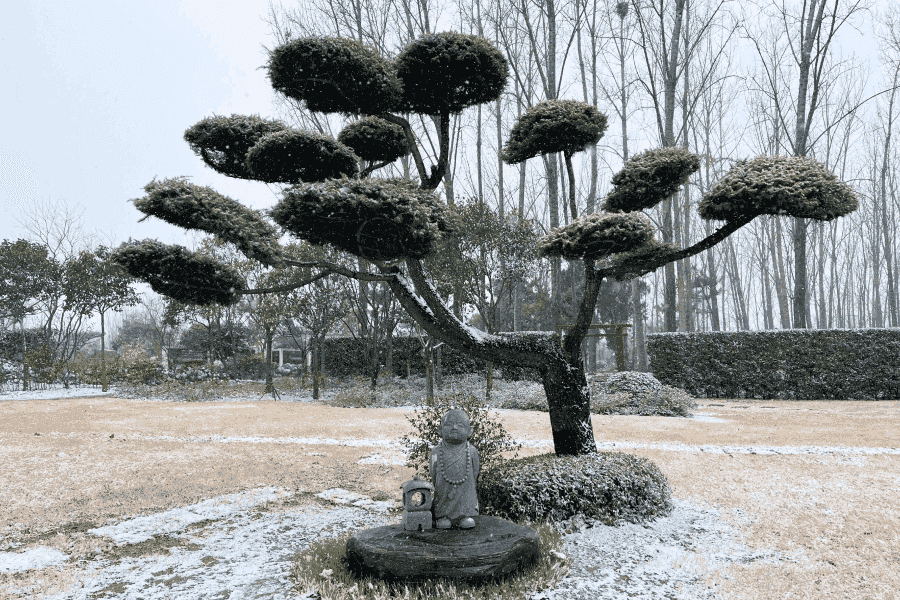 福寿园景观图 福寿园景观图