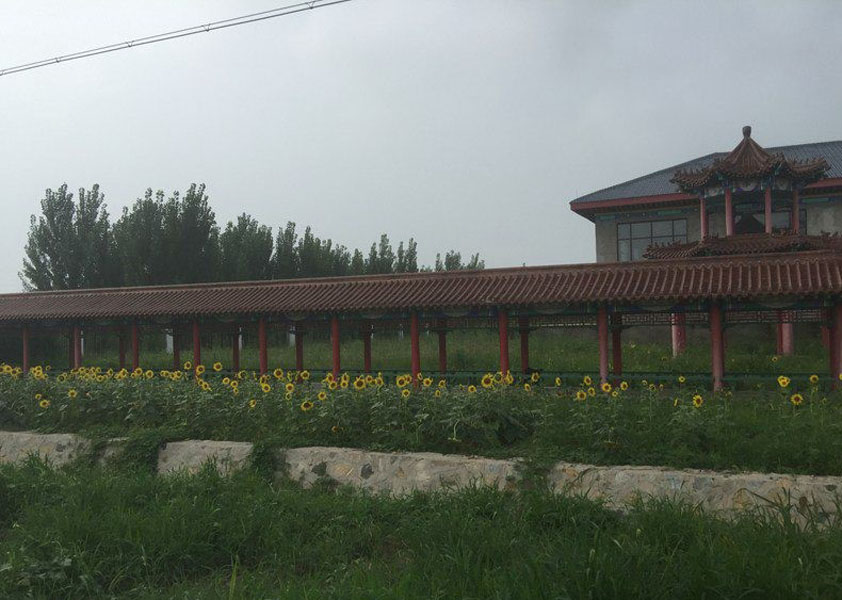 菊花平台冯女士对德慈塔陵的评价图片