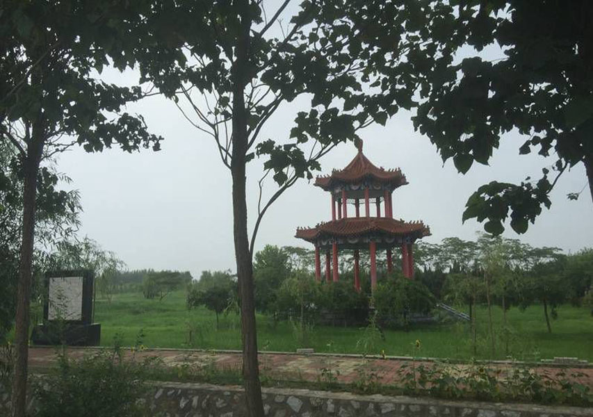 菊花平台冯女士对德慈塔陵的评价图片