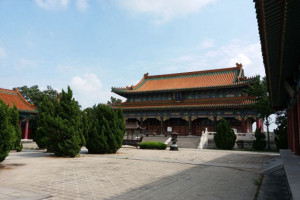菊花平台冯女生对永定塔陵的评价图片