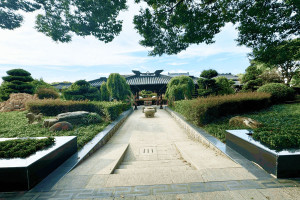 白鹤憩园视频封面 白鹤憩园视频封面