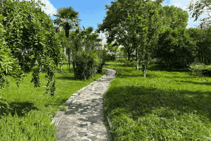 界龙古园视频封面 界龙古园视频封面