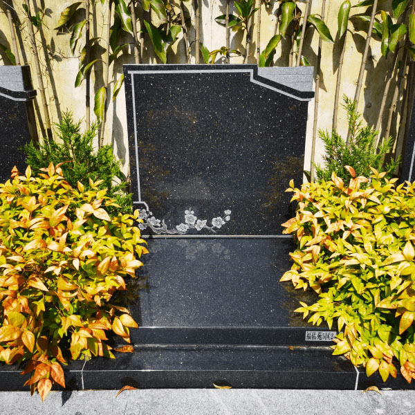 杭州天竹园传统立碑墓型20号