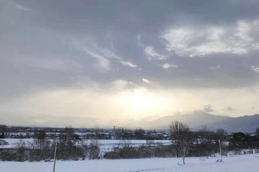 枣园山生态人文纪念园景观图