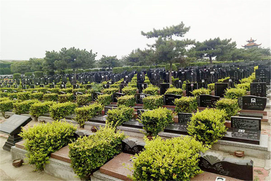 嵩山公墓墓区图