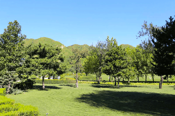 南郊骨灰寝园景观图 南郊骨灰寝园景观图