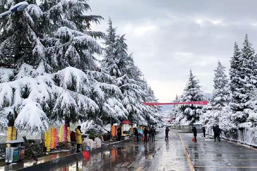 枣园山生态人文纪念园景观图